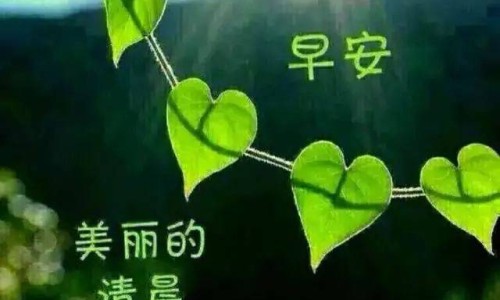 世纪康业是正规公司吗-世纪康药业是国企还是私企-世纪康为,中国世纪康说明书网站